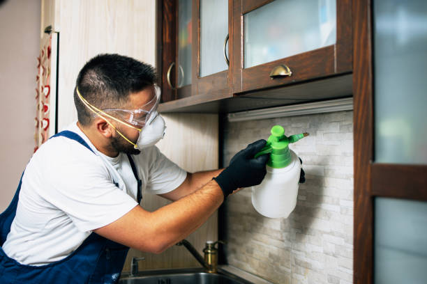 Reliable Hollymead, VA Pest Control Solutions