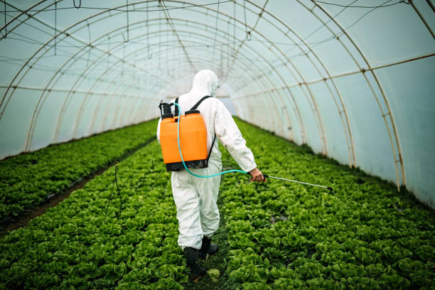 Best Pest Removal Services  in Hollymead, VA
