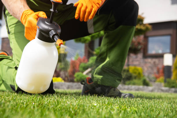 Best Wildlife Control Services  in Hollymead, VA