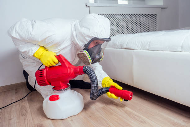Best Emergency Pest Control  in Hollymead, VA