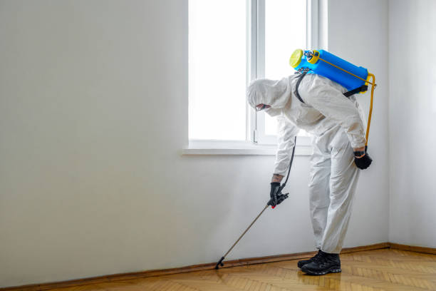 Best Bed Bug Extermination  in Hollymead, VA