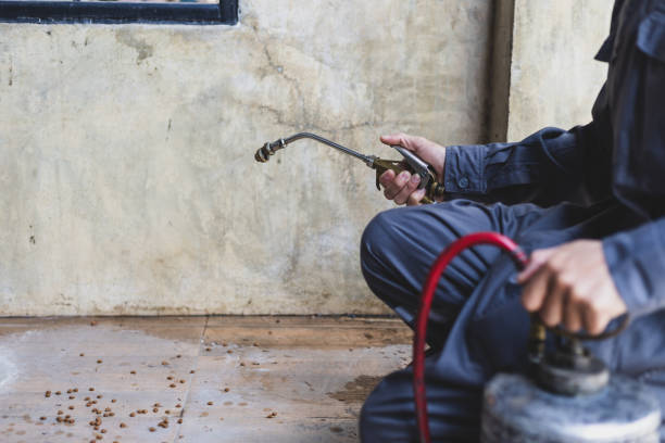 Best Mosquito Control Services  in Hollymead, VA